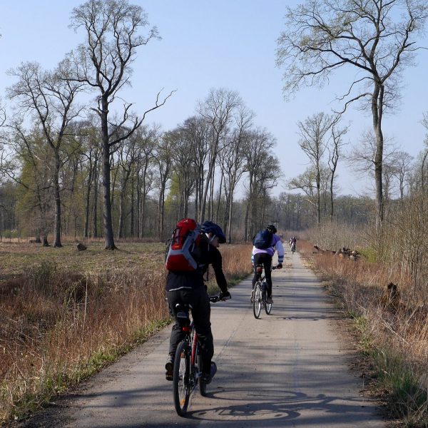 Radfahren auf der Thayarunde